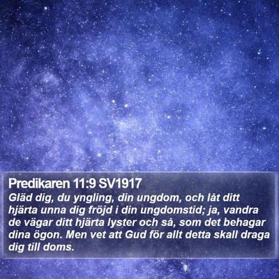 Predikaren 11:9 SV1917 Bible Verse Image