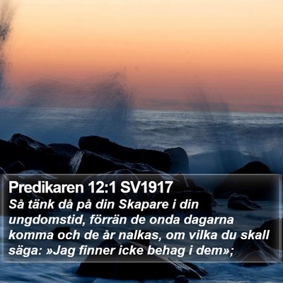 Predikaren 12:1 SV1917 Bible Verse Image