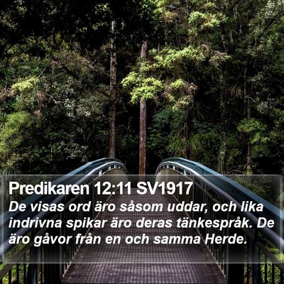 Predikaren 12:11 SV1917 Bible Verse Image
