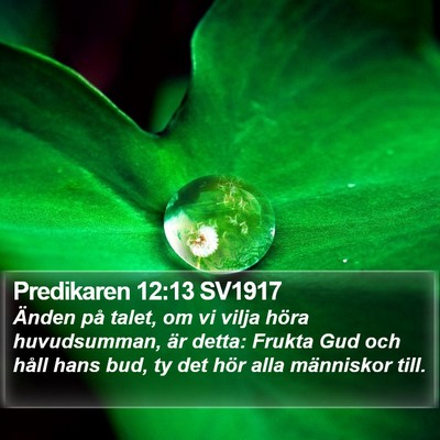 Predikaren 12:13 SV1917 Bible Verse Image