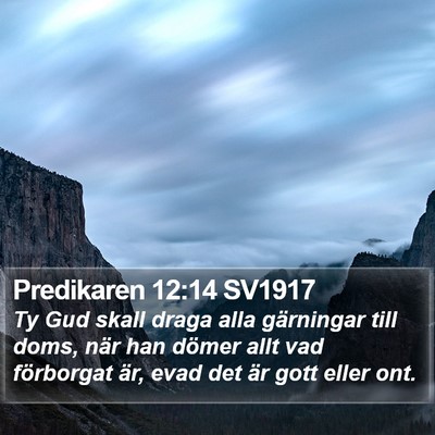 Predikaren 12:14 SV1917 Bible Verse Image