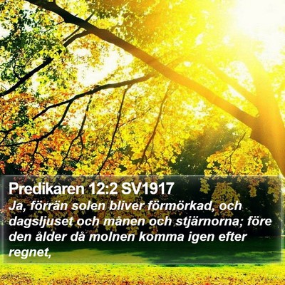 Predikaren 12:2 SV1917 Bible Verse Image
