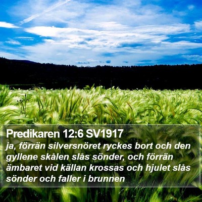 Predikaren 12:6 SV1917 Bible Verse Image