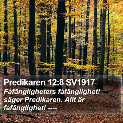 Predikaren 12:8 SV1917 Bible Verse Image