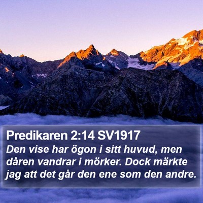 Predikaren 2:14 SV1917 Bible Verse Image