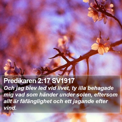 Predikaren 2:17 SV1917 Bible Verse Image