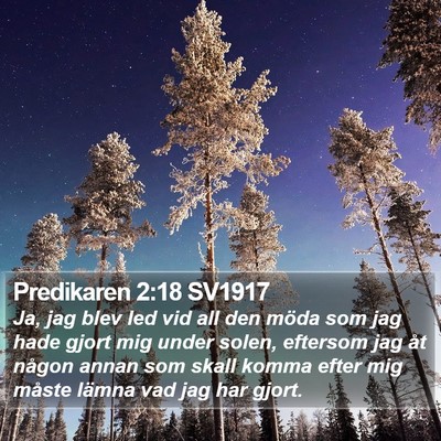 Predikaren 2:18 SV1917 Bible Verse Image