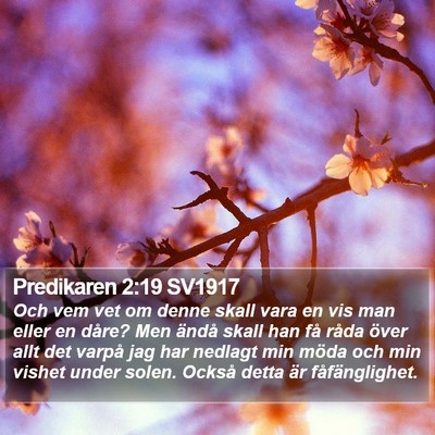 Predikaren 2:19 SV1917 Bible Verse Image