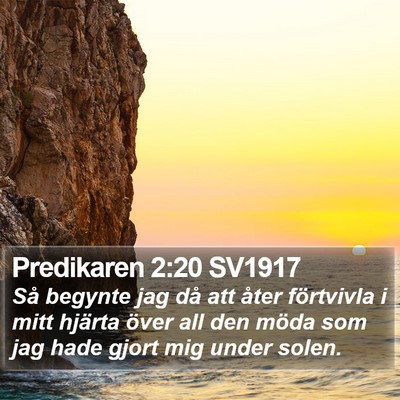 Predikaren 2:20 SV1917 Bible Verse Image