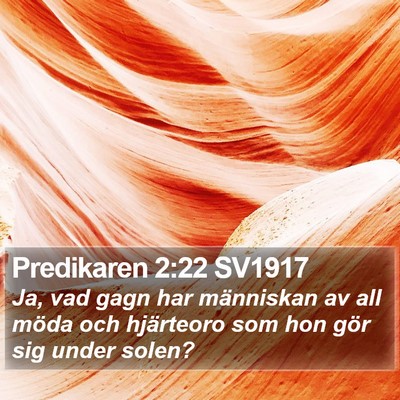 Predikaren 2:22 SV1917 Bible Verse Image