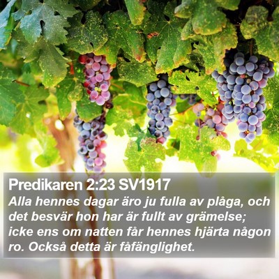 Predikaren 2:23 SV1917 Bible Verse Image