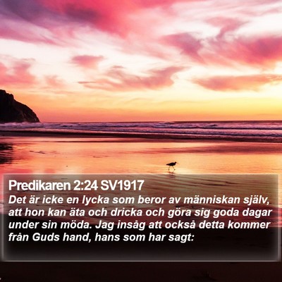 Predikaren 2:24 SV1917 Bible Verse Image