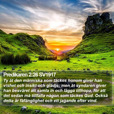 Predikaren 2:26 SV1917 Bible Verse Image