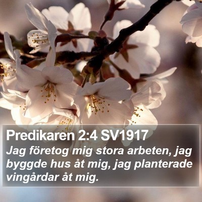 Predikaren 2:4 SV1917 Bible Verse Image