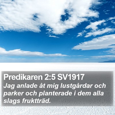 Predikaren 2:5 SV1917 Bible Verse Image