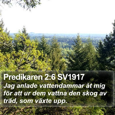 Predikaren 2:6 SV1917 Bible Verse Image