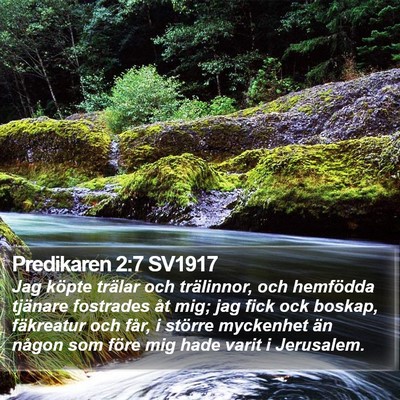 Predikaren 2:7 SV1917 Bible Verse Image