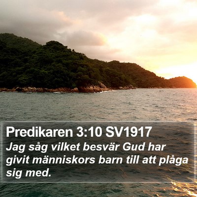 Predikaren 3:10 SV1917 Bible Verse Image