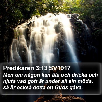 Predikaren 3:13 SV1917 Bible Verse Image