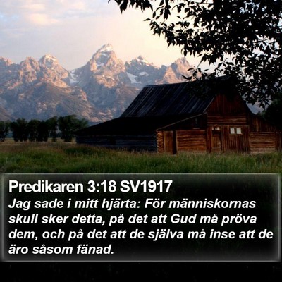 Predikaren 3:18 SV1917 Bible Verse Image