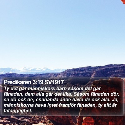 Predikaren 3:19 SV1917 Bible Verse Image