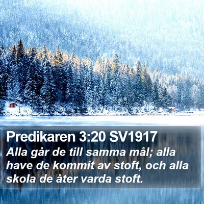 Predikaren 3:20 SV1917 Bible Verse Image