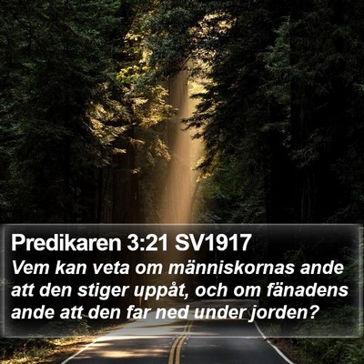 Predikaren 3:21 SV1917 Bible Verse Image