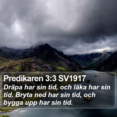 Predikaren 3:3 SV1917 Bible Verse Image