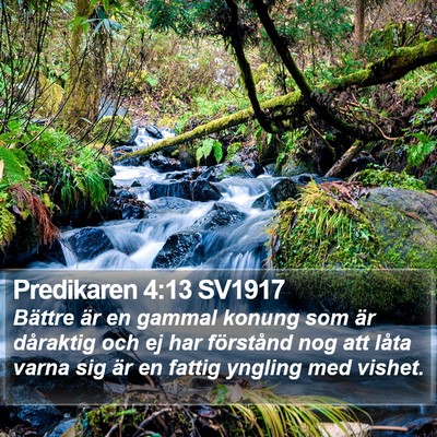 Predikaren 4:13 SV1917 Bible Verse Image