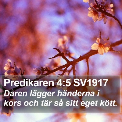 Predikaren 4:5 SV1917 Bible Verse Image