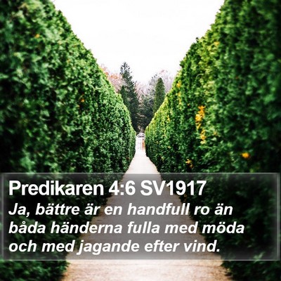 Predikaren 4:6 SV1917 Bible Verse Image