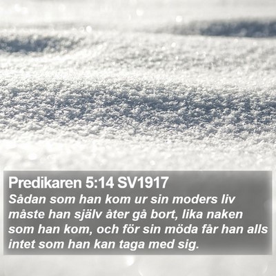 Predikaren 5:14 SV1917 Bible Verse Image