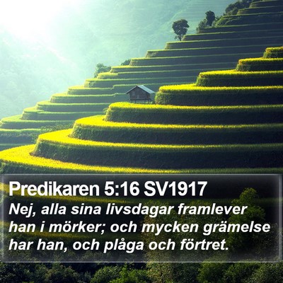 Predikaren 5:16 SV1917 Bible Verse Image