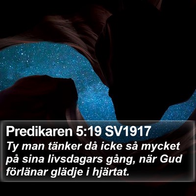 Predikaren 5:19 SV1917 Bible Verse Image