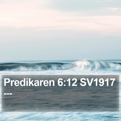 Predikaren 6:12 SV1917 Bible Verse Image