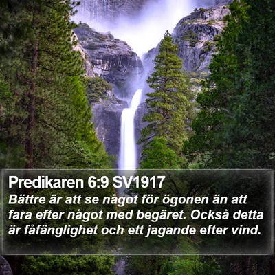 Predikaren 6:9 SV1917 Bible Verse Image