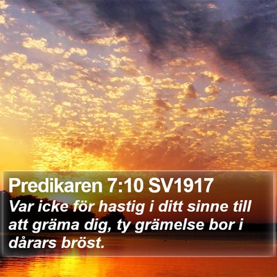 Predikaren 7:10 SV1917 Bible Verse Image