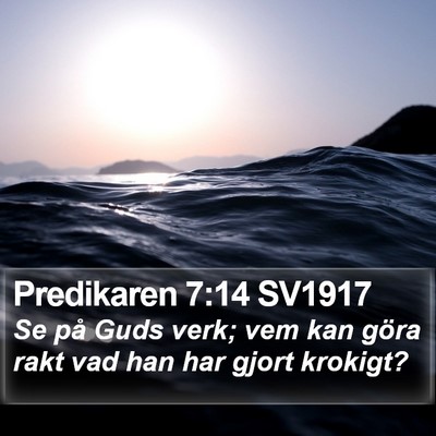 Predikaren 7:14 SV1917 Bible Verse Image