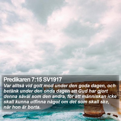 Predikaren 7:15 SV1917 Bible Verse Image