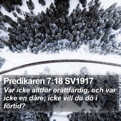 Predikaren 7:18 SV1917 Bible Verse Image