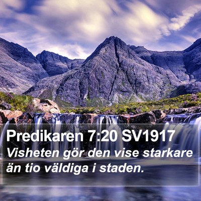 Predikaren 7:20 SV1917 Bible Verse Image