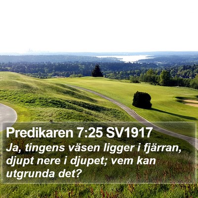 Predikaren 7:25 SV1917 Bible Verse Image