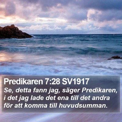 Predikaren 7:28 SV1917 Bible Verse Image