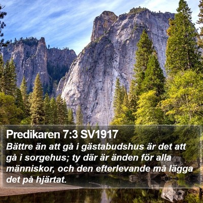Predikaren 7:3 SV1917 Bible Verse Image