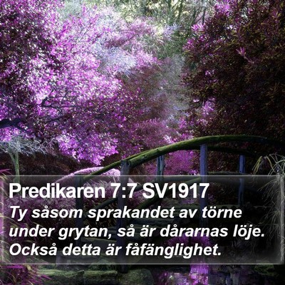 Predikaren 7:7 SV1917 Bible Verse Image