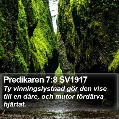 Predikaren 7:8 SV1917 Bible Verse Image