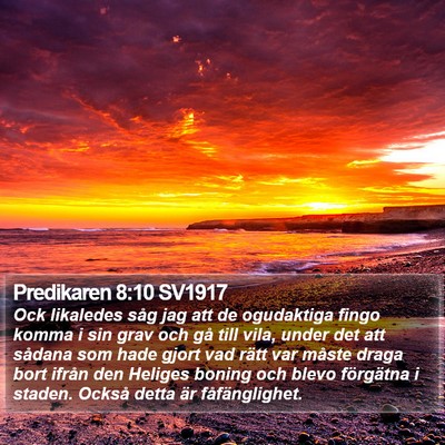 Predikaren 8:10 SV1917 Bible Verse Image