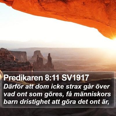 Predikaren 8:11 SV1917 Bible Verse Image