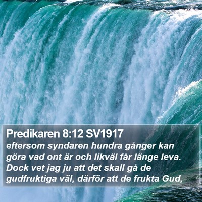 Predikaren 8:12 SV1917 Bible Verse Image
