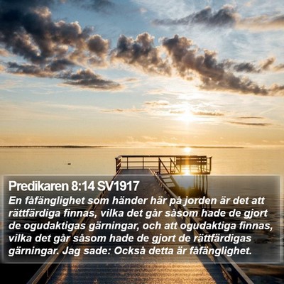 Predikaren 8:14 SV1917 Bible Verse Image